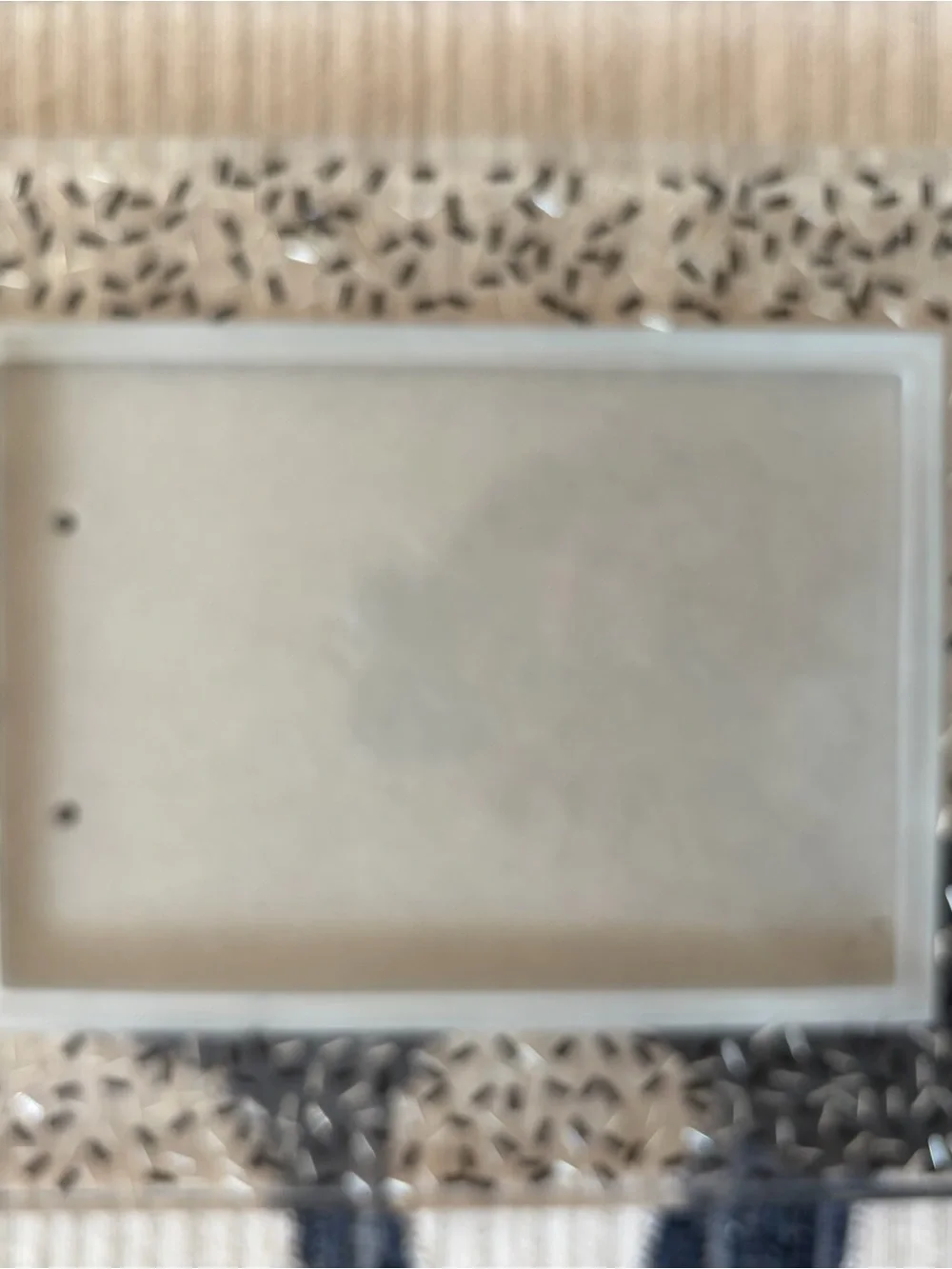 Contemporary Glass Decorative Picture Frame - Home Accents - Fits 5x7 photo